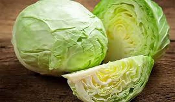 تصویر 4 از خرید و قیمت کلم سفید برای سالاد + فروش عمده